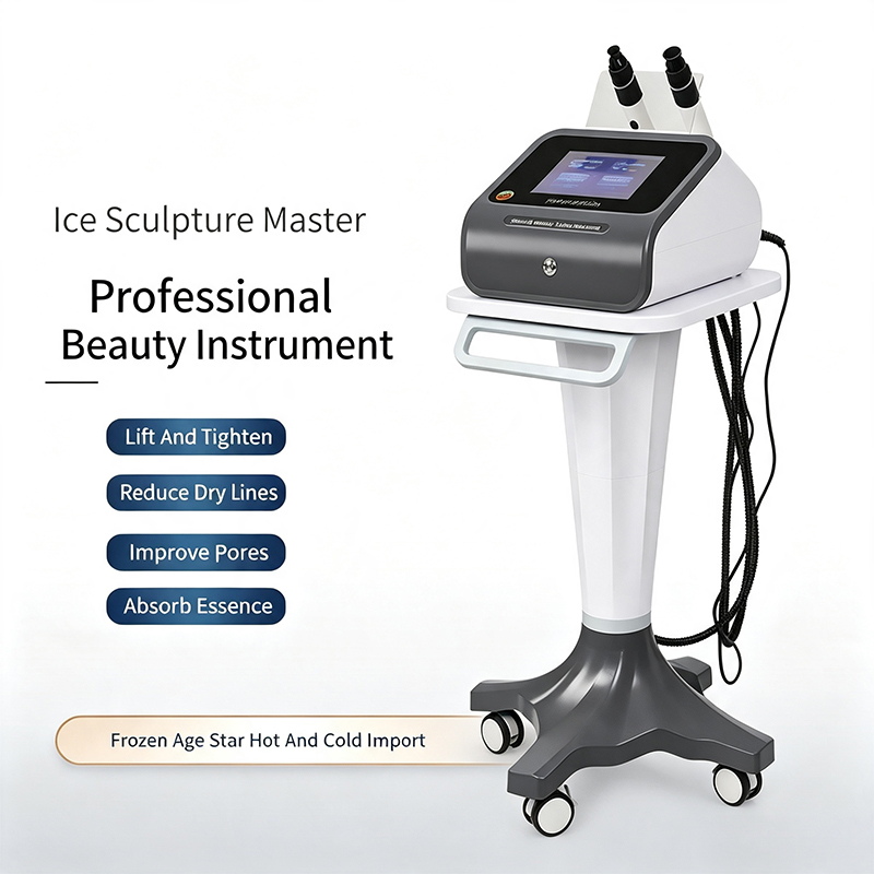 Ice Sculpture Master RF Facial - Master Nutrition & Fitness Club Kuchaman City Reviews 评论和价格