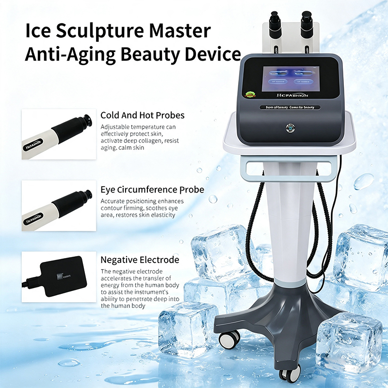 Ice Sculpture Master RF Facial - Master Nutrition & Fitness Club Kuchaman City Reviews 评论和价格